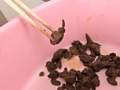 うんこ大好き7 1本糞からポロポロうんこまで十人十色！