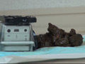 パーフェクトうんち 密着4日間 6脱糞 ミサ27歳