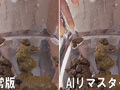 【AIリマスター版】人妻プレミアうんち