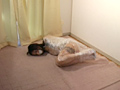 隷嬢寫眞館クラシック6 縛夢3