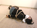 緊○と猿轡17 隷嬢緊○オムニバス