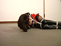 クノイチ危機一髪