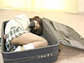 コスプレシリーズ クノイチの危機