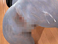 石化女子○生コレクターズファイル 愛像版