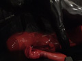 Rubber Fetish World～地下牢○禁ラバー飼育～