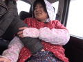 狭山の茶畑でお茶を摘むお母さん