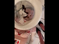 アン女王 スカトロ解禁第1弾！！ 女性用便器