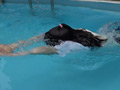プール開きの為に