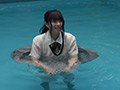今しかない青春