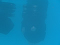 卒業記念撮影