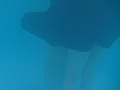 卒業記念を忘れて