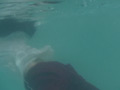 着衣濡れの無抵抗