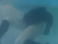 猛暑の涼しみ