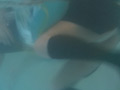 猛暑の涼しみ
