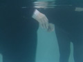真冬の落水練習