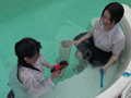 幼馴染とシャチと