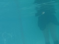 体育教師の斬新的義務講習