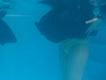 合宿後の特別講習