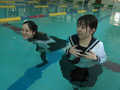 新設プールの思惑