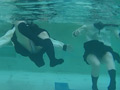 三つ巴の水中遊泳