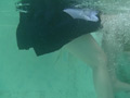 三つ巴、、その後