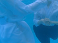灼熱稽古後のリフレッシュ サンプル画像3