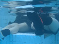 里帰りと無二の親友 サンプル画像3