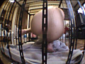 陵○○禁 全裸で檻の中に○禁され続けた女の子