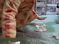 おねしょ手帳
