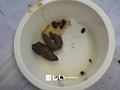 主治医さま、淋しい私にお浣腸を施してください。