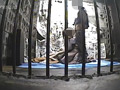 【動画】飼育01 ○禁調○編 PART1