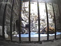 【動画】飼育01 ○禁調○編 PART1