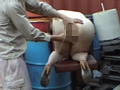 【動画】飼育01 ○禁調○編 PART3
