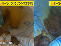 OLの肛門おっぴろげ想定外赤面大量脱糞噴出記録！