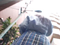 女子○生Tバックパンチラ 総集編