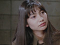 豊丸伝説 超変態