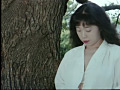 （ザ）投稿写真