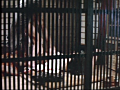 女刑 御禁制百年