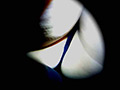 【座りデルタ＆逆さ撮り】美人お姉さん