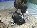 真・集団いじめ学級SP！！