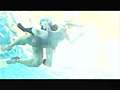 AQUARIUM -アクアリウム-