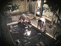 芸能人 板垣あずさ タオル一枚 男湯入ってみませんか？