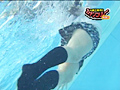 ドキッ！丸ごと下着 イイ女だらけの水泳大会