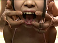 エルフ