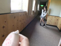 いいなり温泉旅行 成宮りか