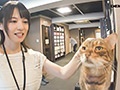 橋本菜々 35歳 第3章 6年ぶりの生○SEX