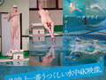 一流競泳選手 青木桃 AV DEBUT 全裸水泳2021