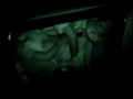 実録 車内性交○撮 NO.2