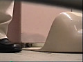 節水してたら流せんぞこのボリューム2