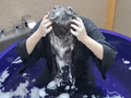 濡れ髪○子が艶めかしいスーパーロングヘア若妻